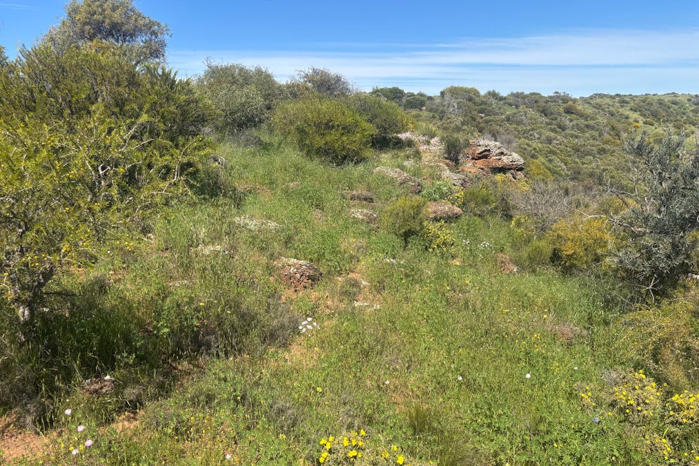 9500 Chapman Valley Road, Narra Tarra, WA, 6532 - Image 4