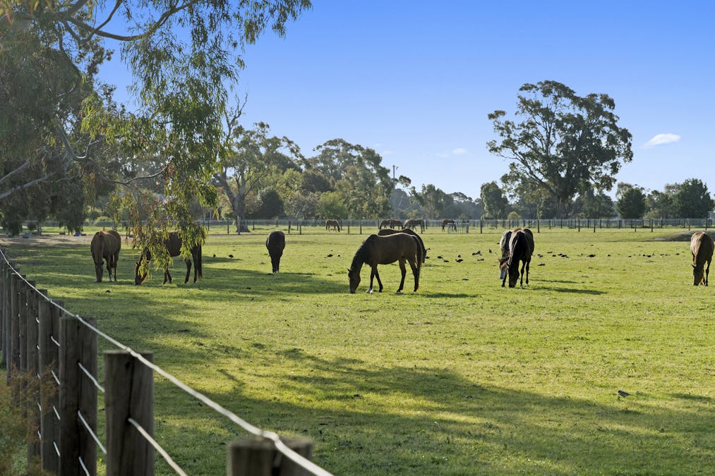 27 Euroa-Shepparton Road, Euroa, VIC, 3666 - Image 6
