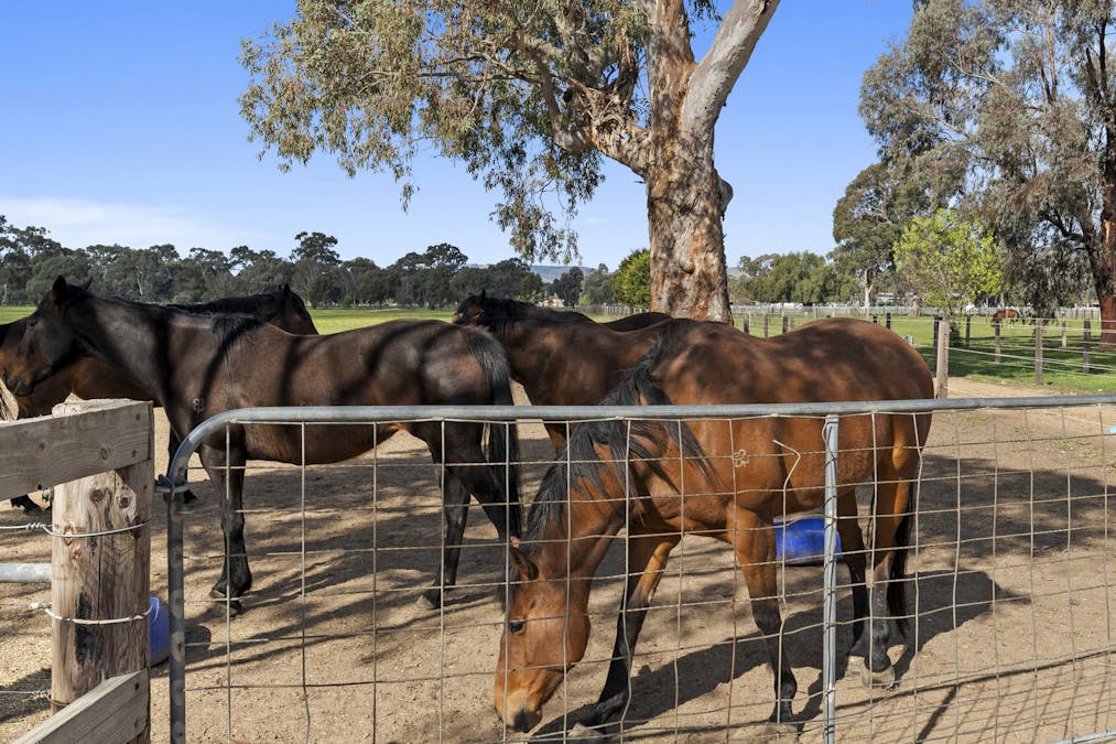 27 Euroa-Shepparton Road, Euroa, VIC, 3666 - Image 31