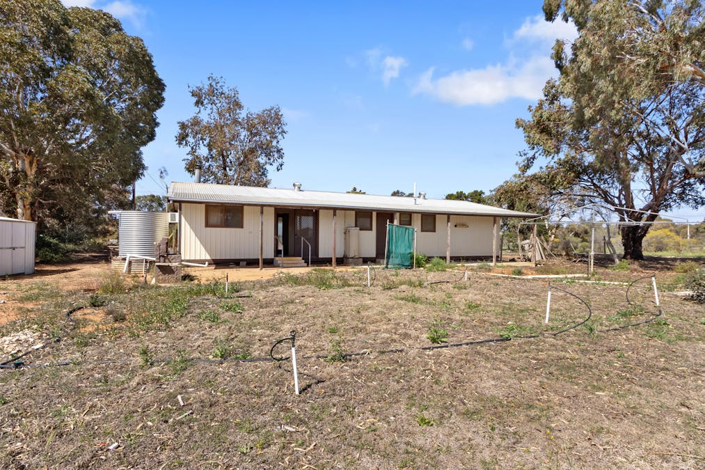 86 Pope Road, Waikerie, SA, 5330 - Image 12