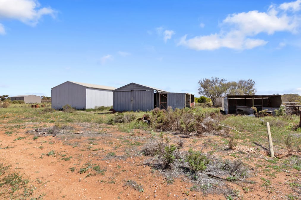 86 Pope Road, Waikerie, SA, 5330 - Image 14