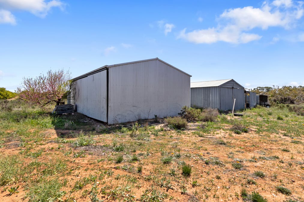 86 Pope Road, Waikerie, SA, 5330 - Image 15