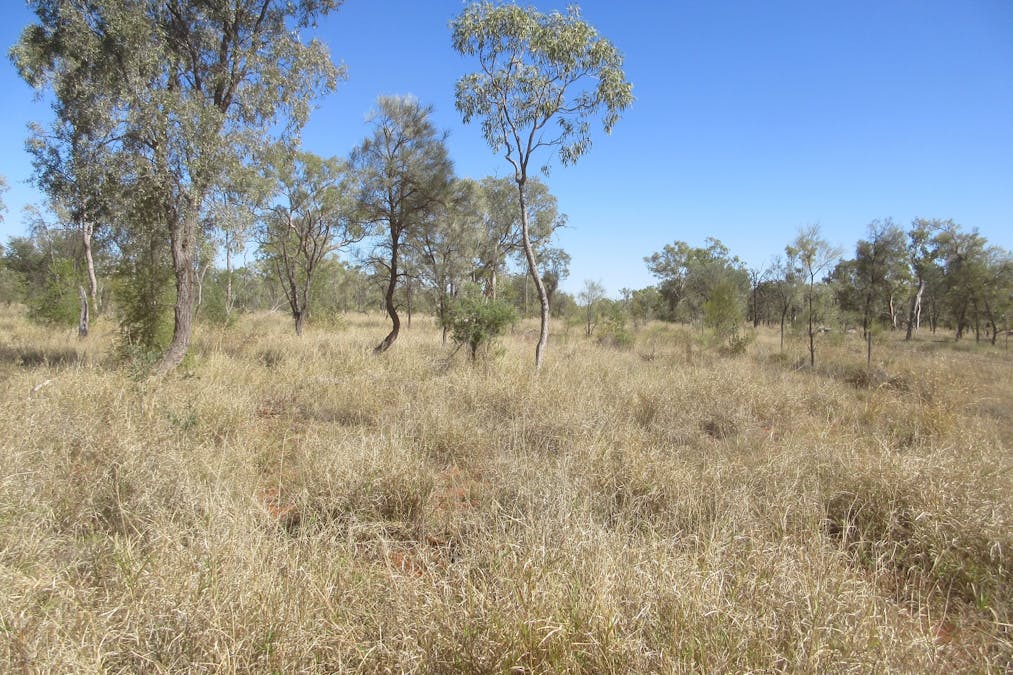 4092 Narbethong Road, Barcaldine, QLD, 4725 - Image 2