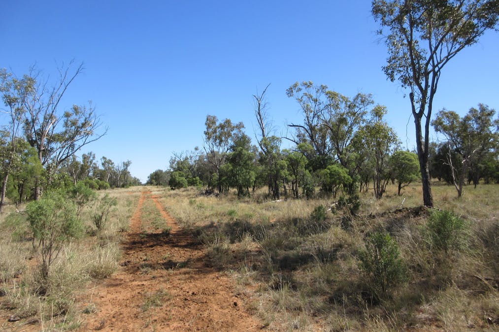 4092 Narbethong Road, Barcaldine, QLD, 4725 - Image 3
