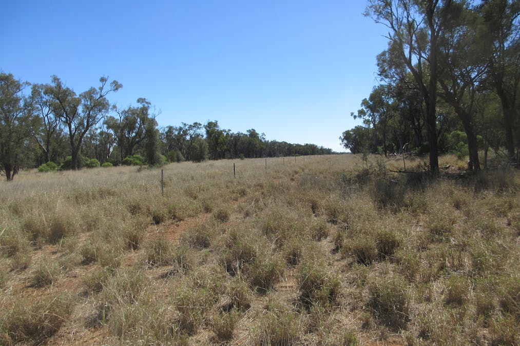 4092 Narbethong Road, Barcaldine, QLD, 4725 - Image 4