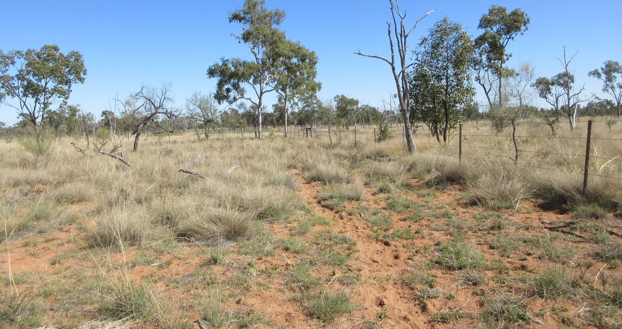 4092 Narbethong Road, Barcaldine, QLD, 4725 - Image 5