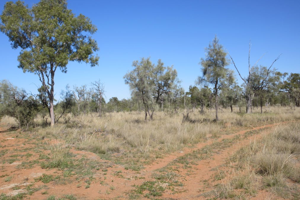 4092 Narbethong Road, Barcaldine, QLD, 4725 - Image 6
