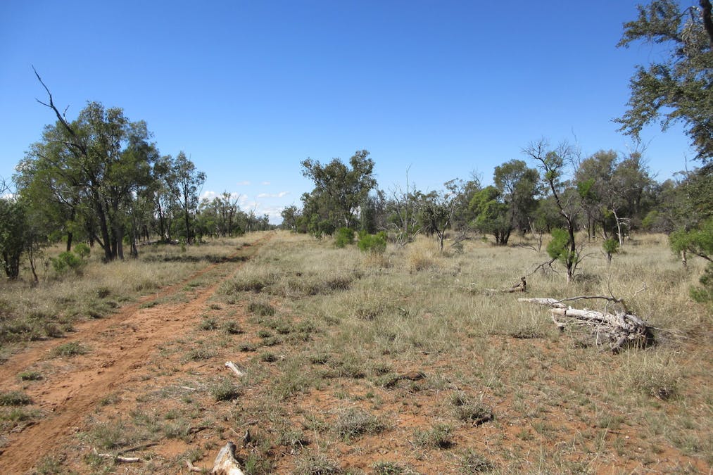 4092 Narbethong Road, Barcaldine, QLD, 4725 - Image 9