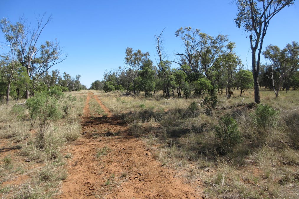 4092 Narbethong Road, Barcaldine, QLD, 4725 - Image 10