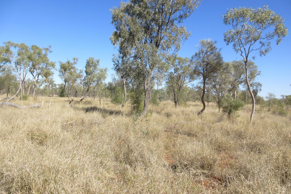 4092 Narbethong Road, Barcaldine, QLD, 4725 - Image 11