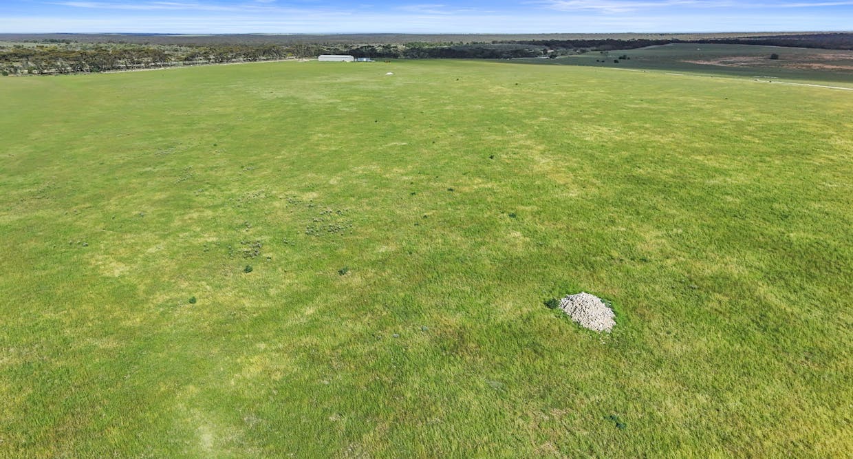 54 Army Road, Burdett, SA, 5253 - Image 6