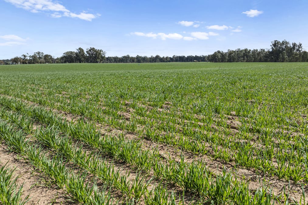 60 Pogue Road, Toolamba, VIC, 3614 - Image 3