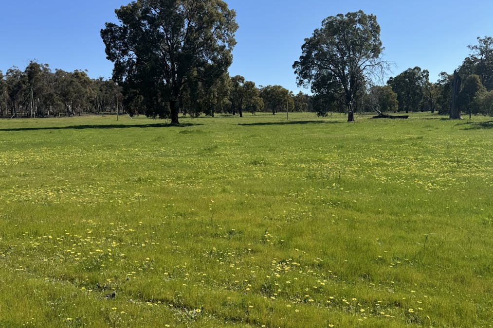 Lot 8 Great Southern Highway, Woottating, WA, 6562 - Image 31