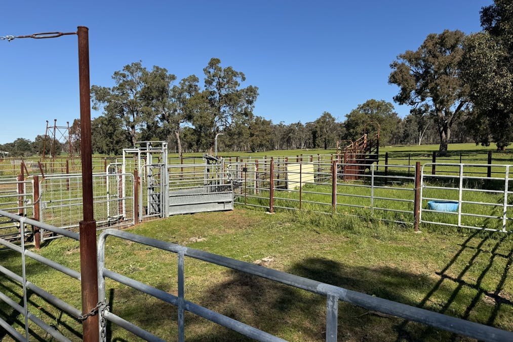 Lot 8 Great Southern Highway, Woottating, WA, 6562 - Image 10