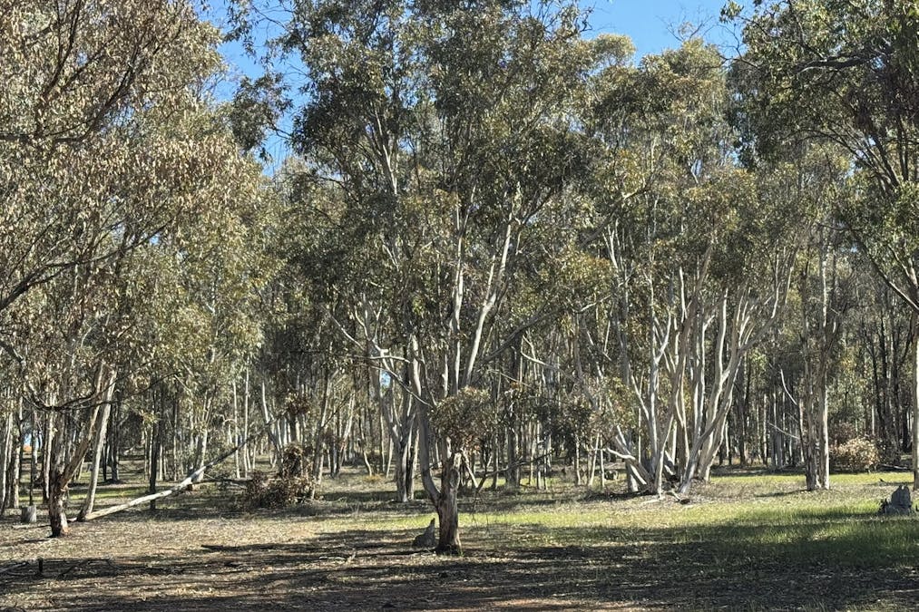 Lot 8 Great Southern Highway, Woottating, WA, 6562 - Image 32
