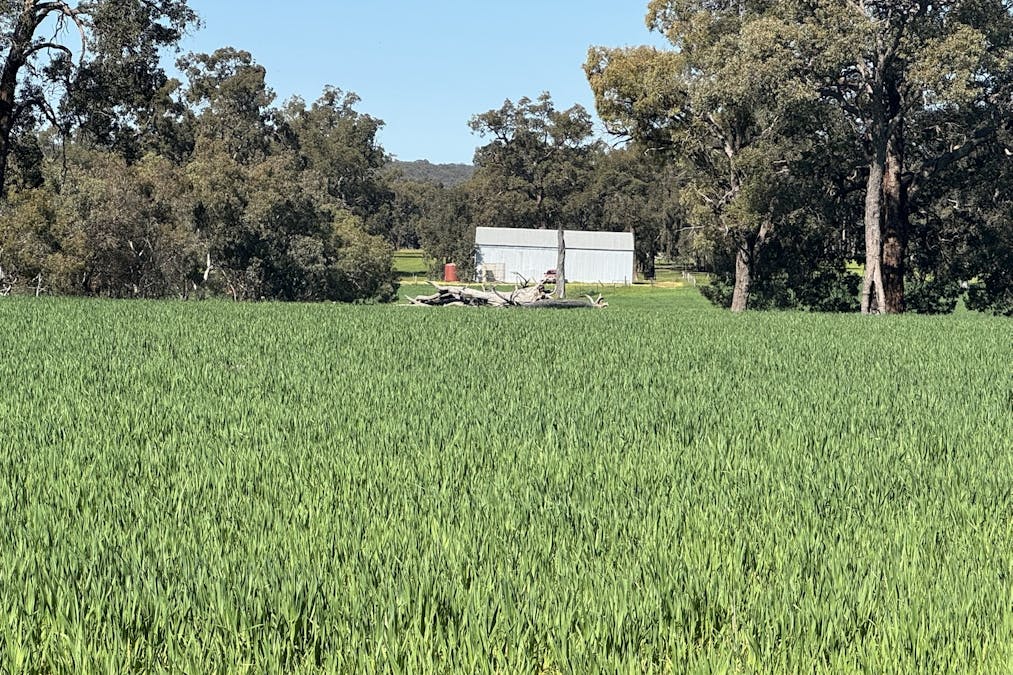 Lot 8 Great Southern Highway, Woottating, WA, 6562 - Image 12