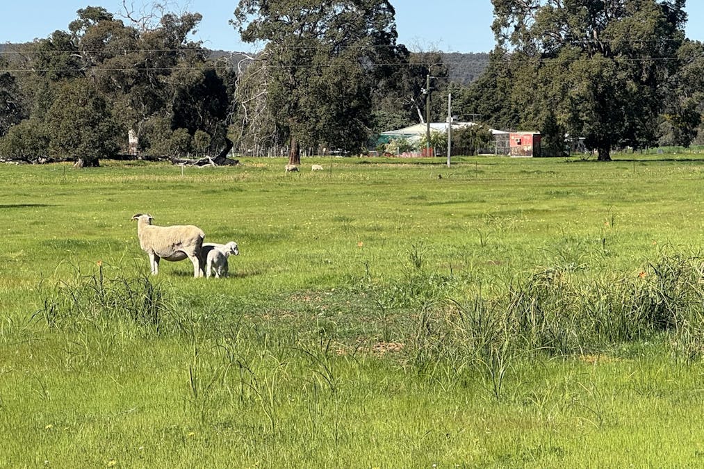 Lot 8 Great Southern Highway, Woottating, WA, 6562 - Image 34