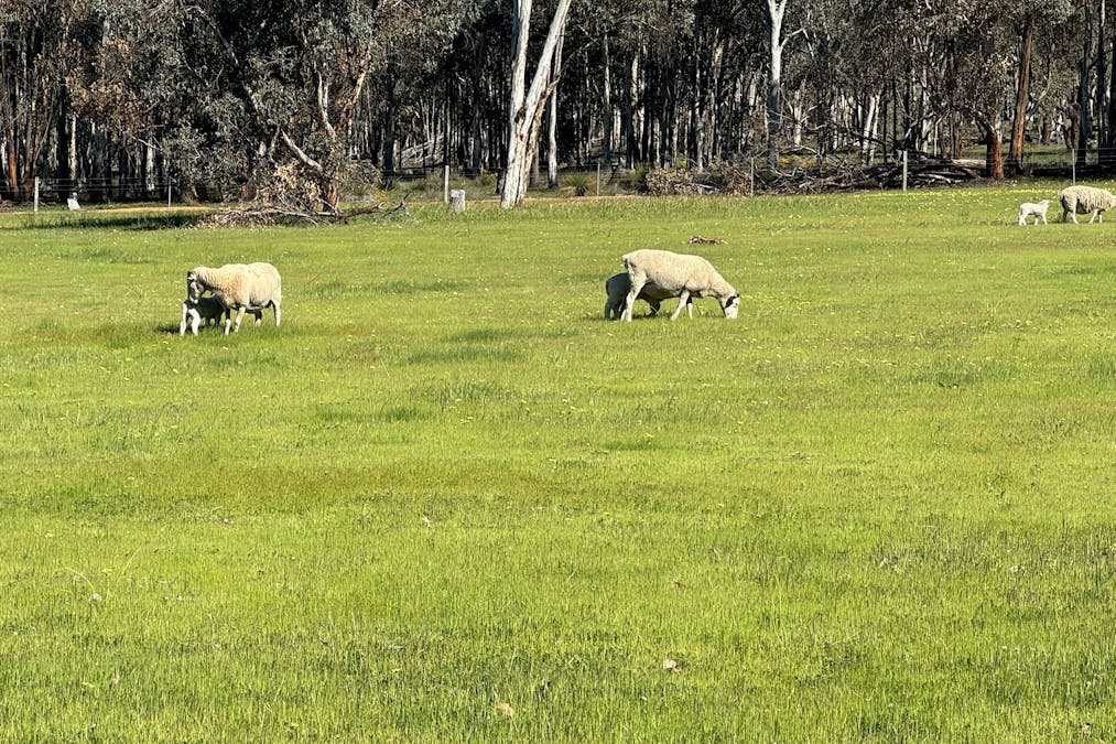 Lot 8 Great Southern Highway, Woottating, WA, 6562 - Image 33