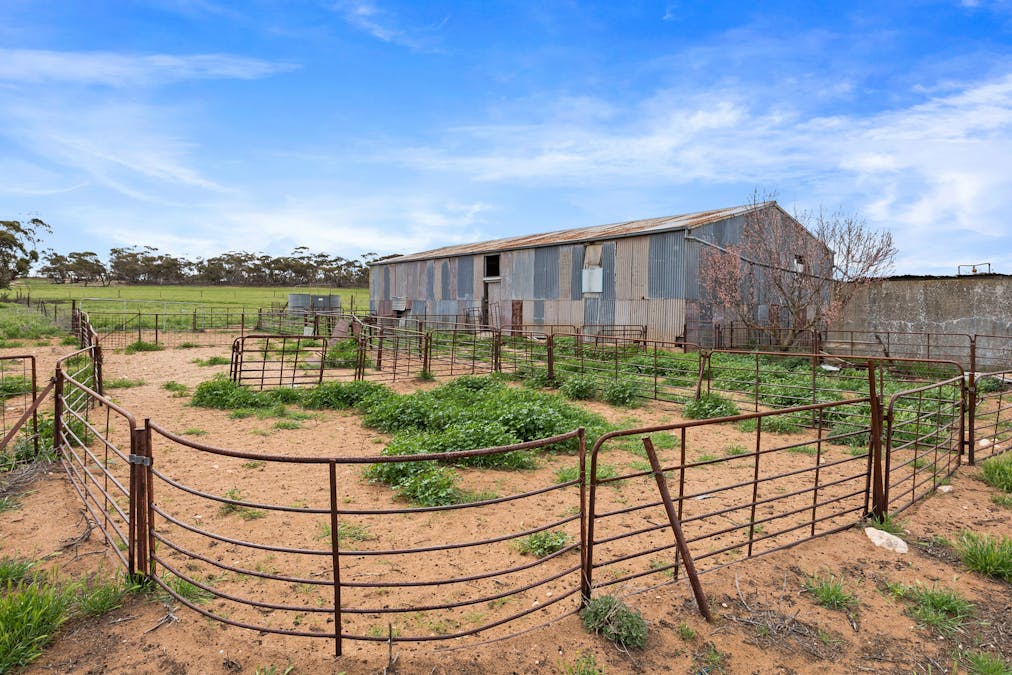 1888 Hundred Line Road, Perponda, SA, 5308 - Image 13