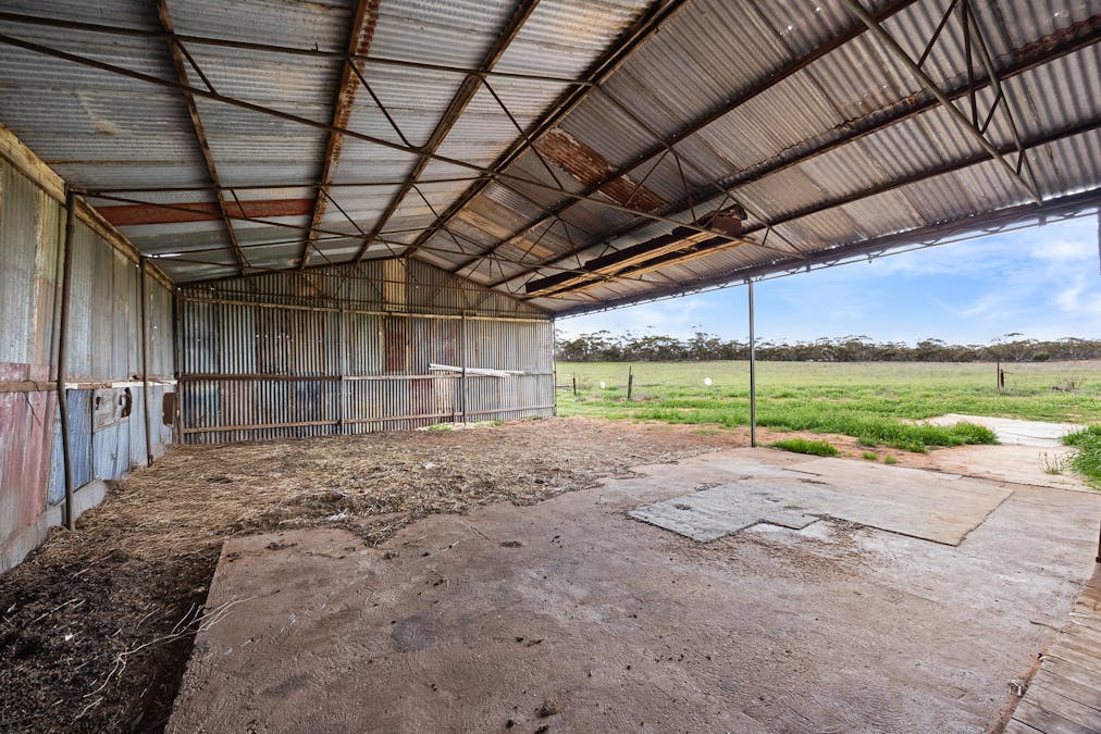 1888 Hundred Line Road, Perponda, SA, 5308 - Image 16