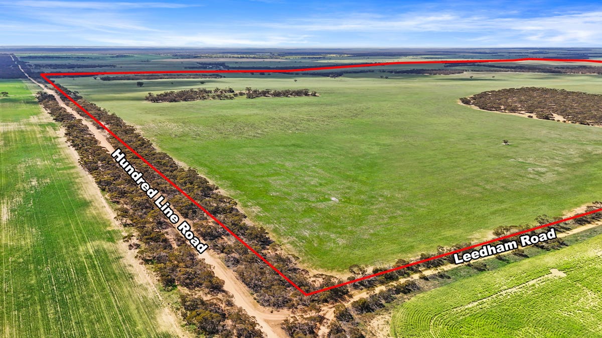 1888 Hundred Line Road, Perponda, SA, 5308 - Image 23