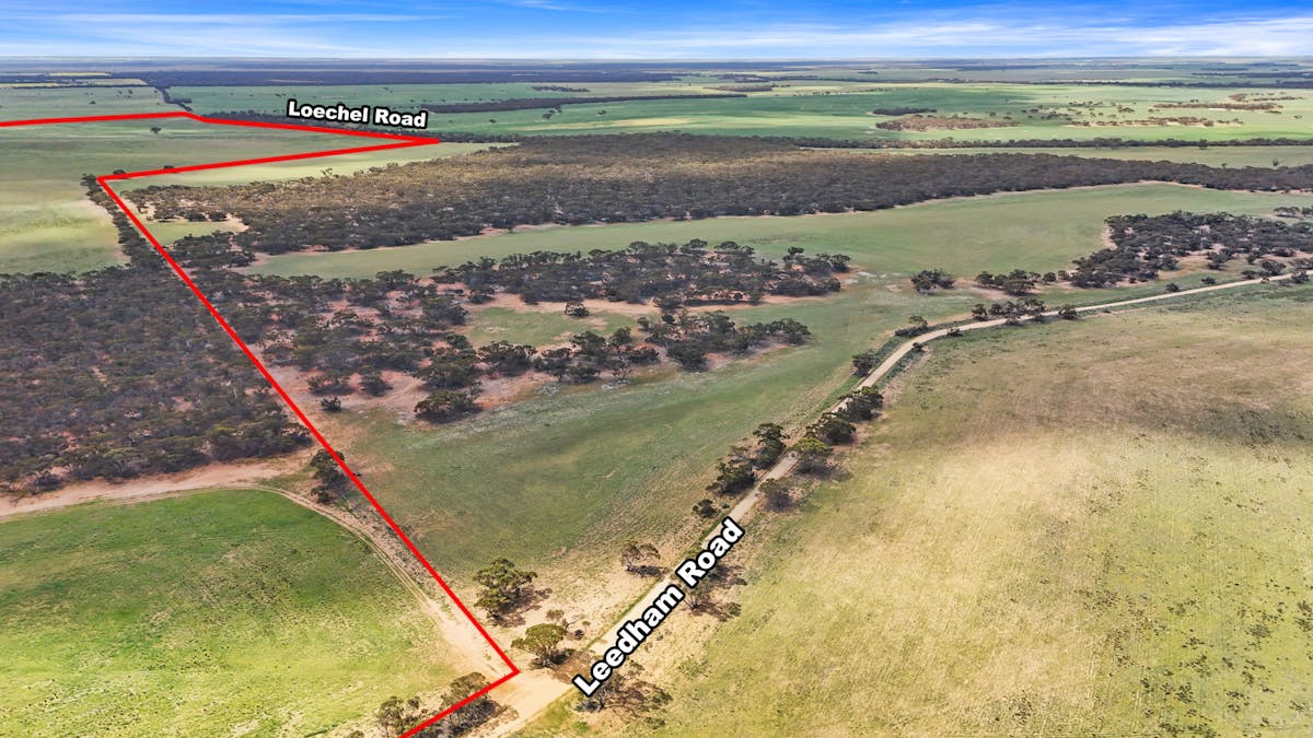 1888 Hundred Line Road, Perponda, SA, 5308 - Image 25