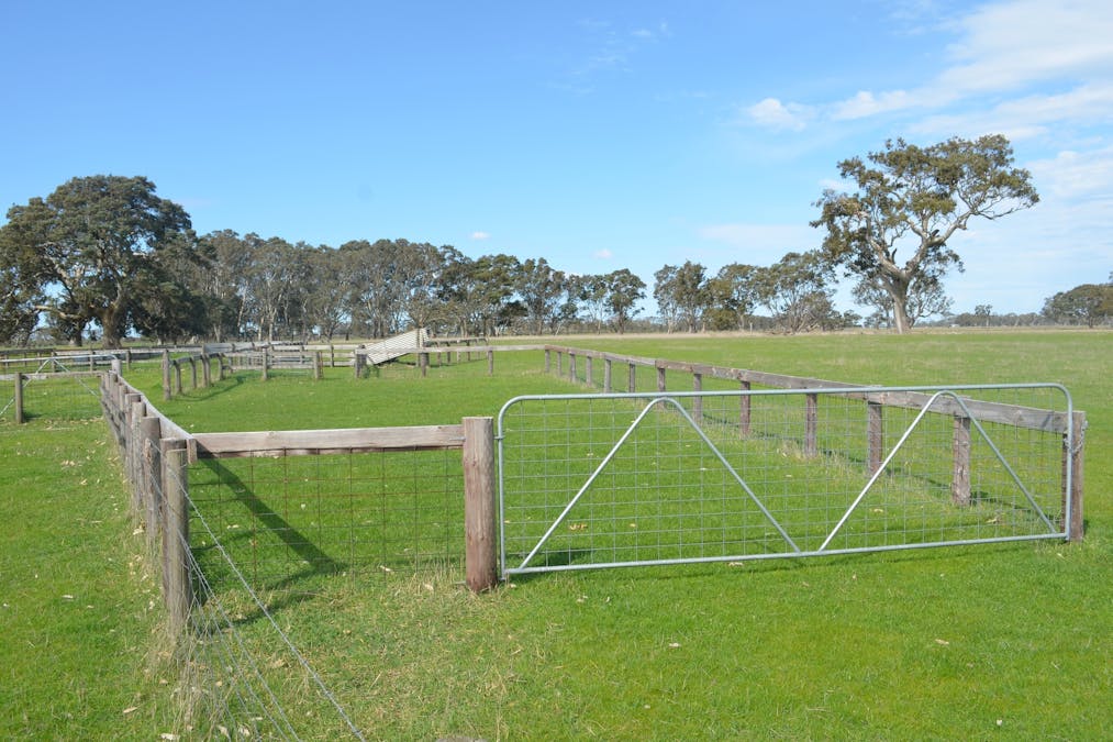 Lot 894 Mount McIntyre Road, Kalangadoo, SA, 5278 - Image 12