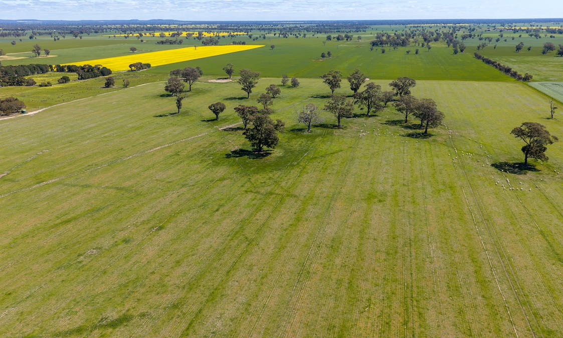 1174 Northern Grampians Road, Laharum, VIC, 3401 - Image 16