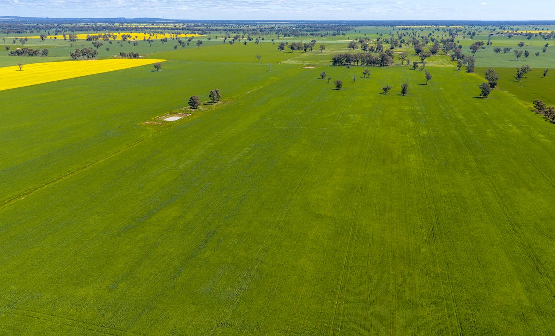 1174 Northern Grampians Road, Laharum, VIC, 3401 - Image 13