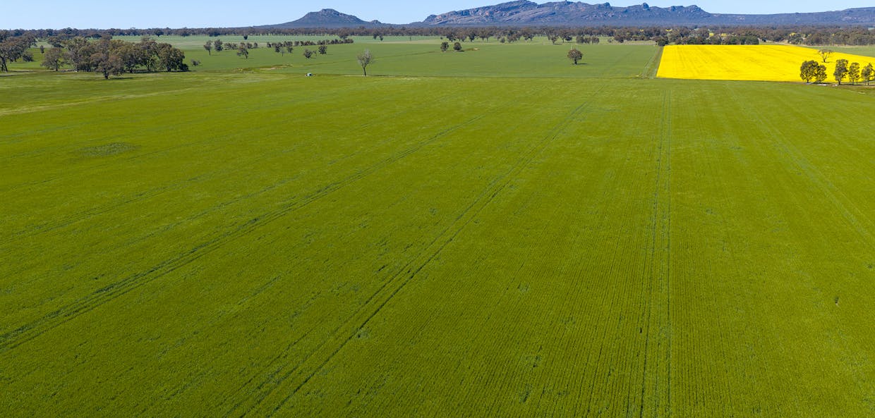 1174 Northern Grampians Road, Laharum, VIC, 3401 - Image 1