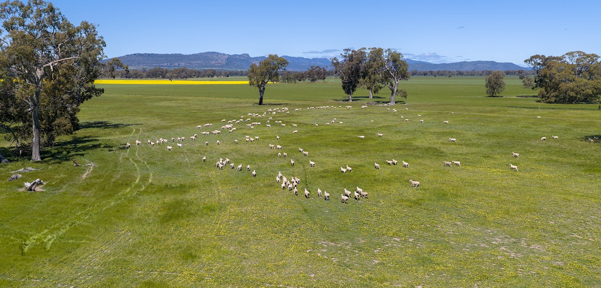 1174 Northern Grampians Road, Laharum, VIC, 3401 - Image 14