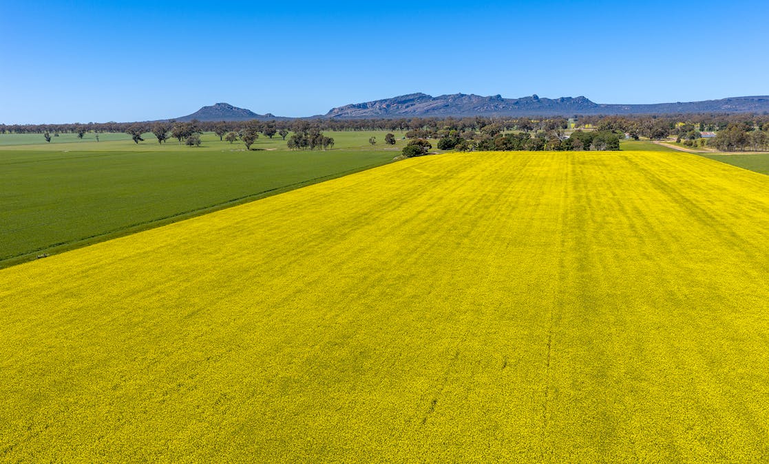 1174 Northern Grampians Road, Laharum, VIC, 3401 - Image 2