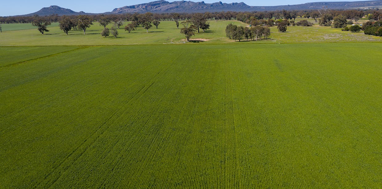 1174 Northern Grampians Road, Laharum, VIC, 3401 - Image 12