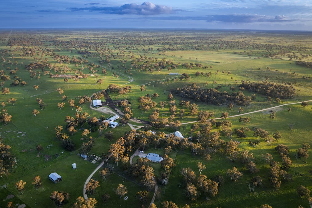 325 Maranoa Downs Road, Stewart Range, SA, 5271 - Image 1