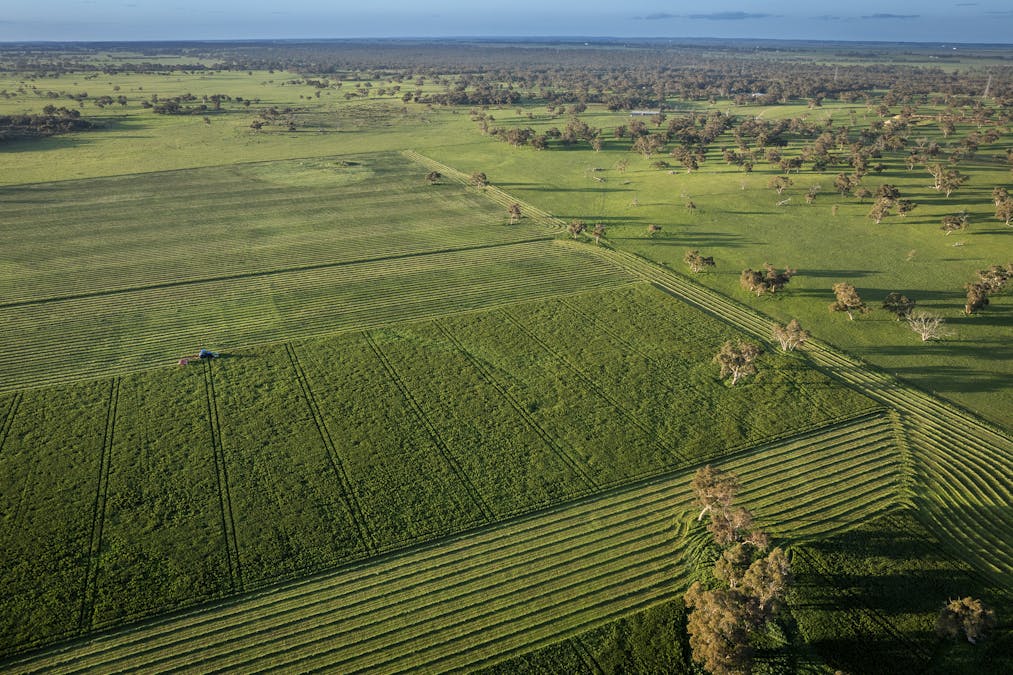 325 Maranoa Downs Road, Stewart Range, SA, 5271 - Image 3