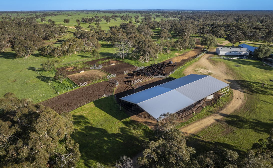 325 Maranoa Downs Road, Stewart Range, SA, 5271 - Image 4