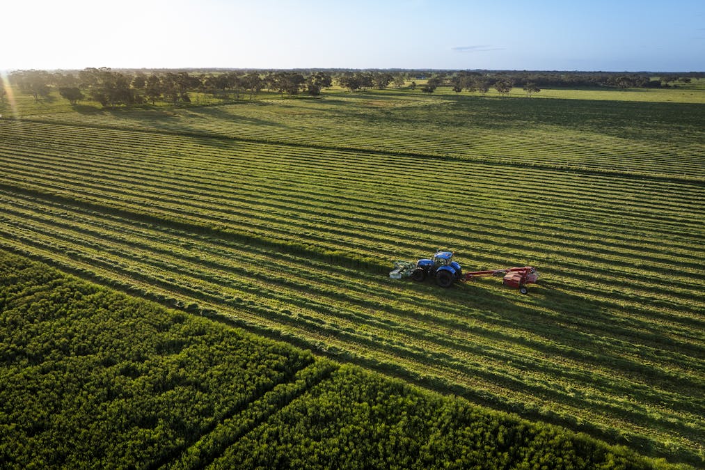 325 Maranoa Downs Road, Stewart Range, SA, 5271 - Image 24