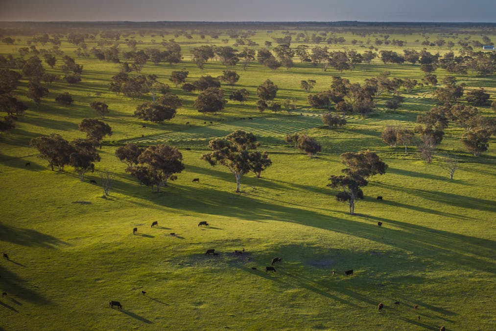 325 Maranoa Downs Road, Stewart Range, SA, 5271 - Image 23
