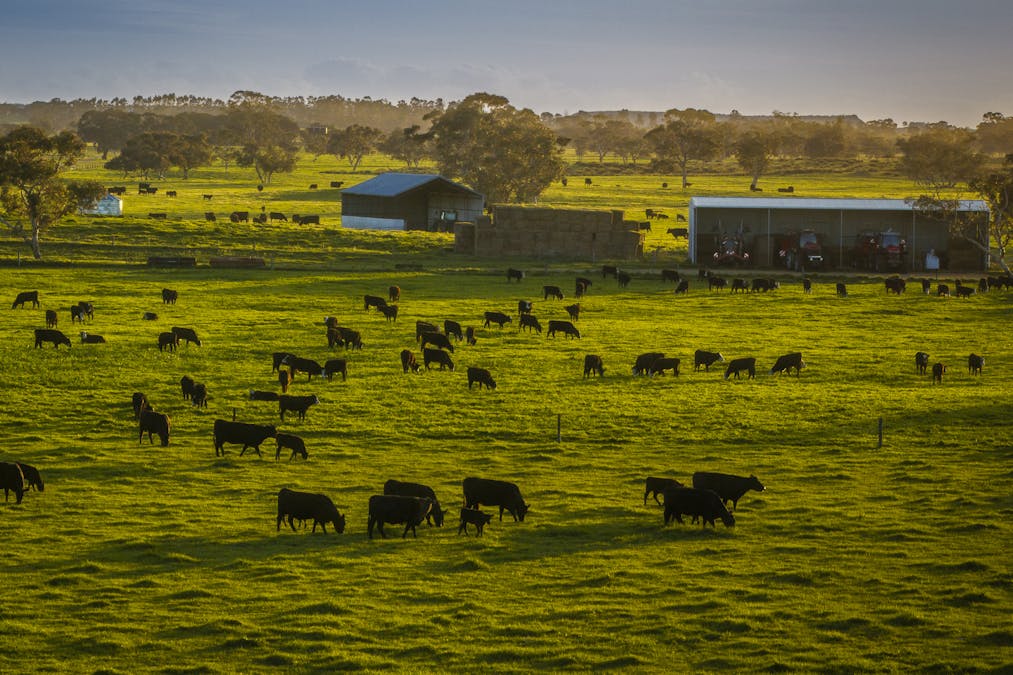 325 Maranoa Downs Road, Stewart Range, SA, 5271 - Image 29