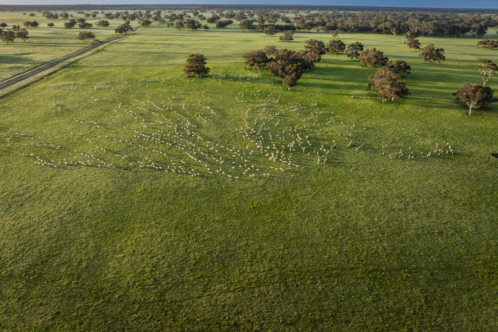 325 Maranoa Downs Road, Stewart Range, SA, 5271 - Image 26