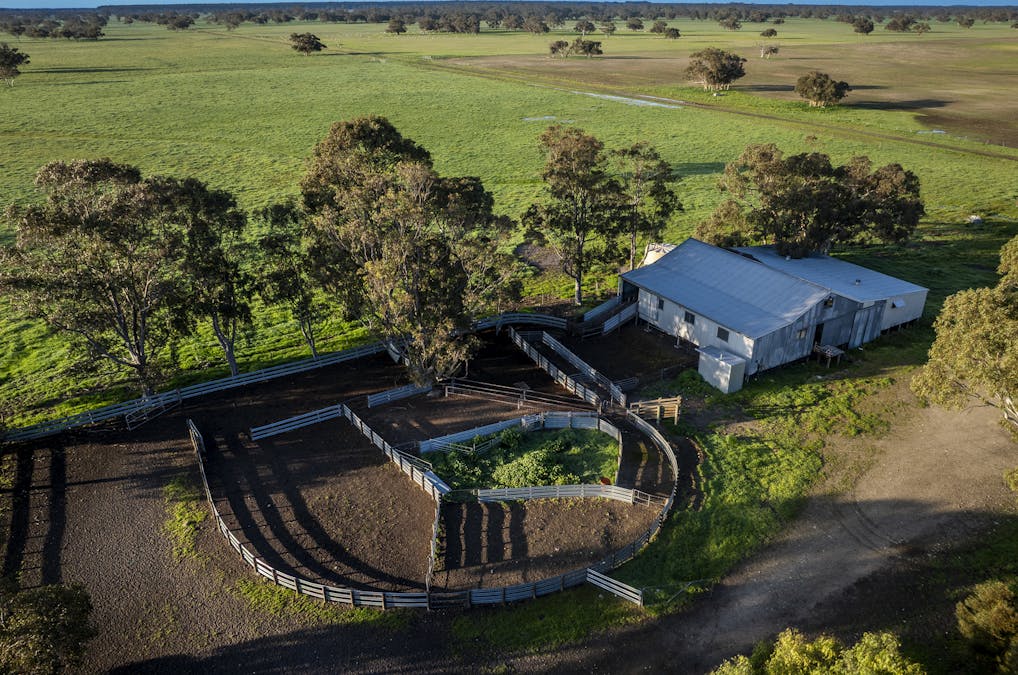 325 Maranoa Downs Road, Stewart Range, SA, 5271 - Image 10