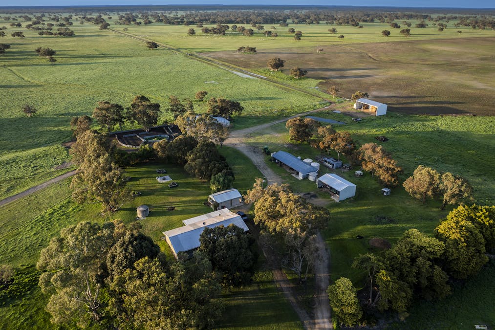 325 Maranoa Downs Road, Stewart Range, SA, 5271 - Image 9