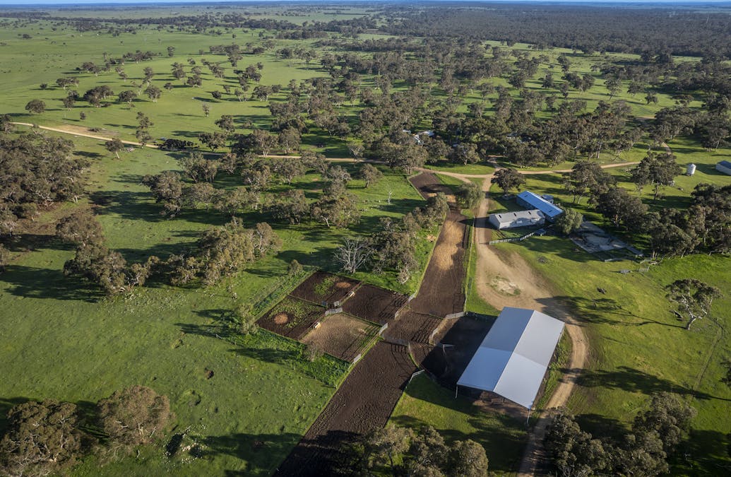 325 Maranoa Downs Road, Stewart Range, SA, 5271 - Image 12