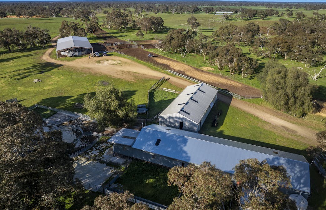 325 Maranoa Downs Road, Stewart Range, SA, 5271 - Image 13