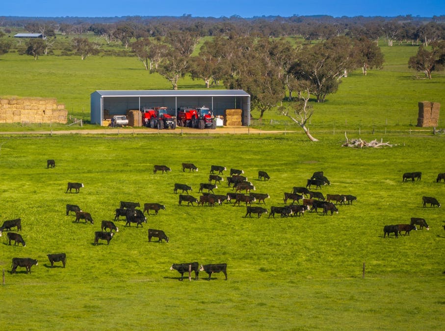 325 Maranoa Downs Road, Stewart Range, SA, 5271 - Image 14