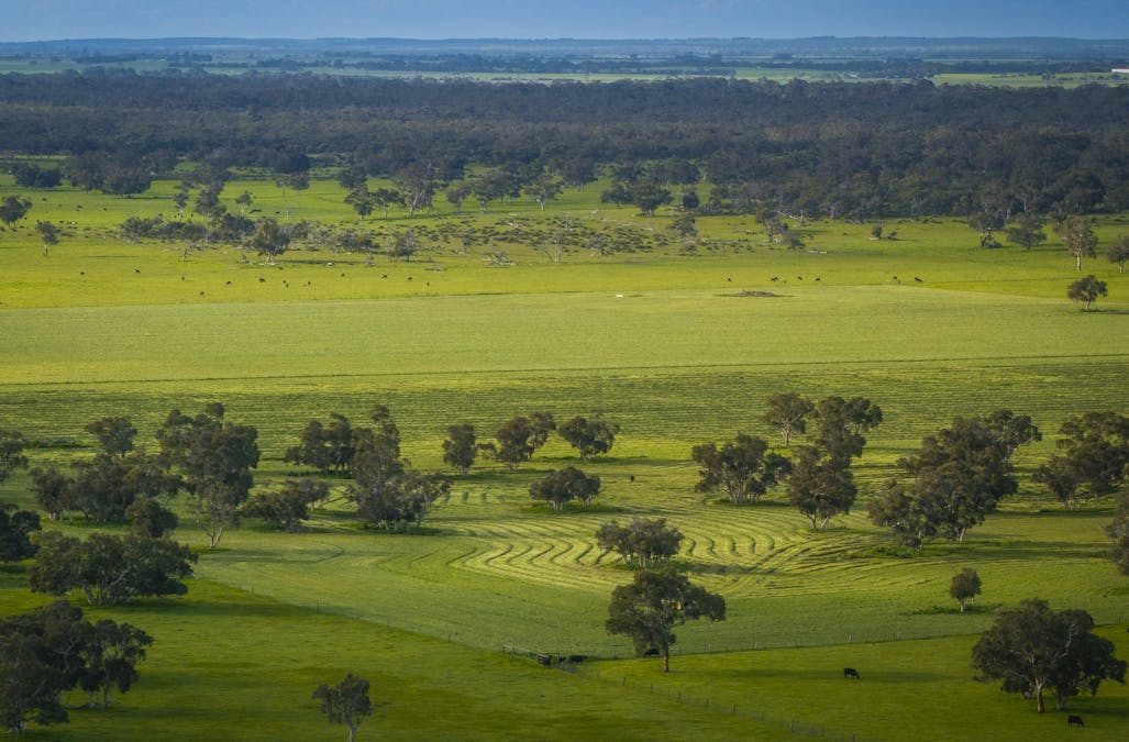 325 Maranoa Downs Road, Stewart Range, SA, 5271 - Image 28