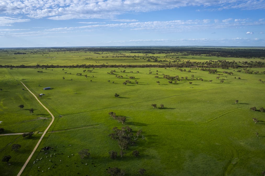 325 Maranoa Downs Road, Stewart Range, SA, 5271 - Image 21