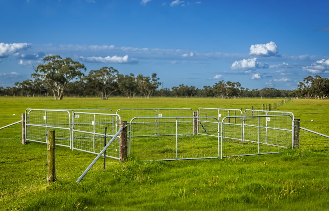 325 Maranoa Downs Road, Stewart Range, SA, 5271 - Image 17