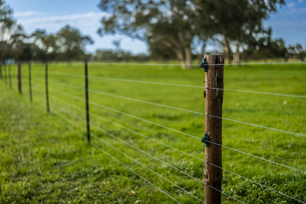 325 Maranoa Downs Road, Stewart Range, SA, 5271 - Image 18