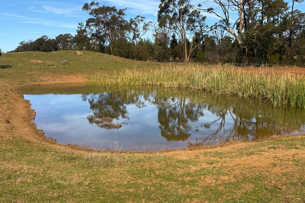 Osterley 900 Moira Vale Road, Tottenham, NSW, 2873 - Image 6